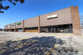 Plus de détails pour 28188-28196 Schoolcraft Rd, Livonia, MI - Industriel/Logistique à louer