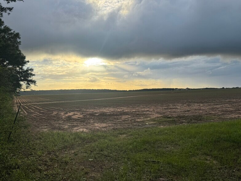 1 Old Stage rd, Repton, AL à vendre - Photo de l’immeuble – Image 2 sur 19