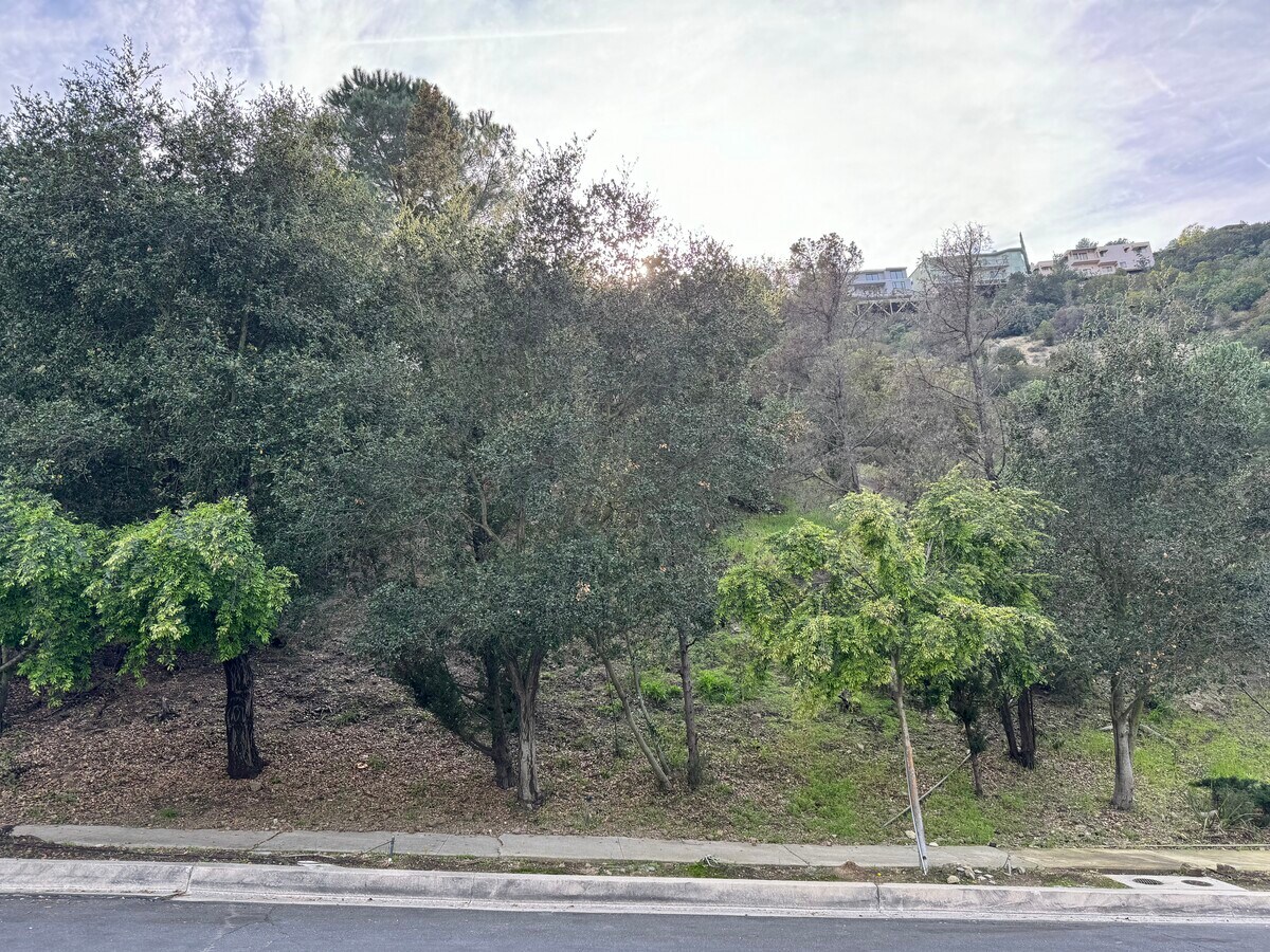 View Photo