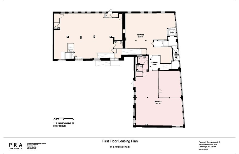 19 Brookline St, Cambridge, MA à louer - Plan d’étage – Image 3 sur 25