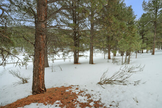 Plus de détails pour Lot 21A Golf View Terrace, Angel Fire, NM - Terrain à vendre