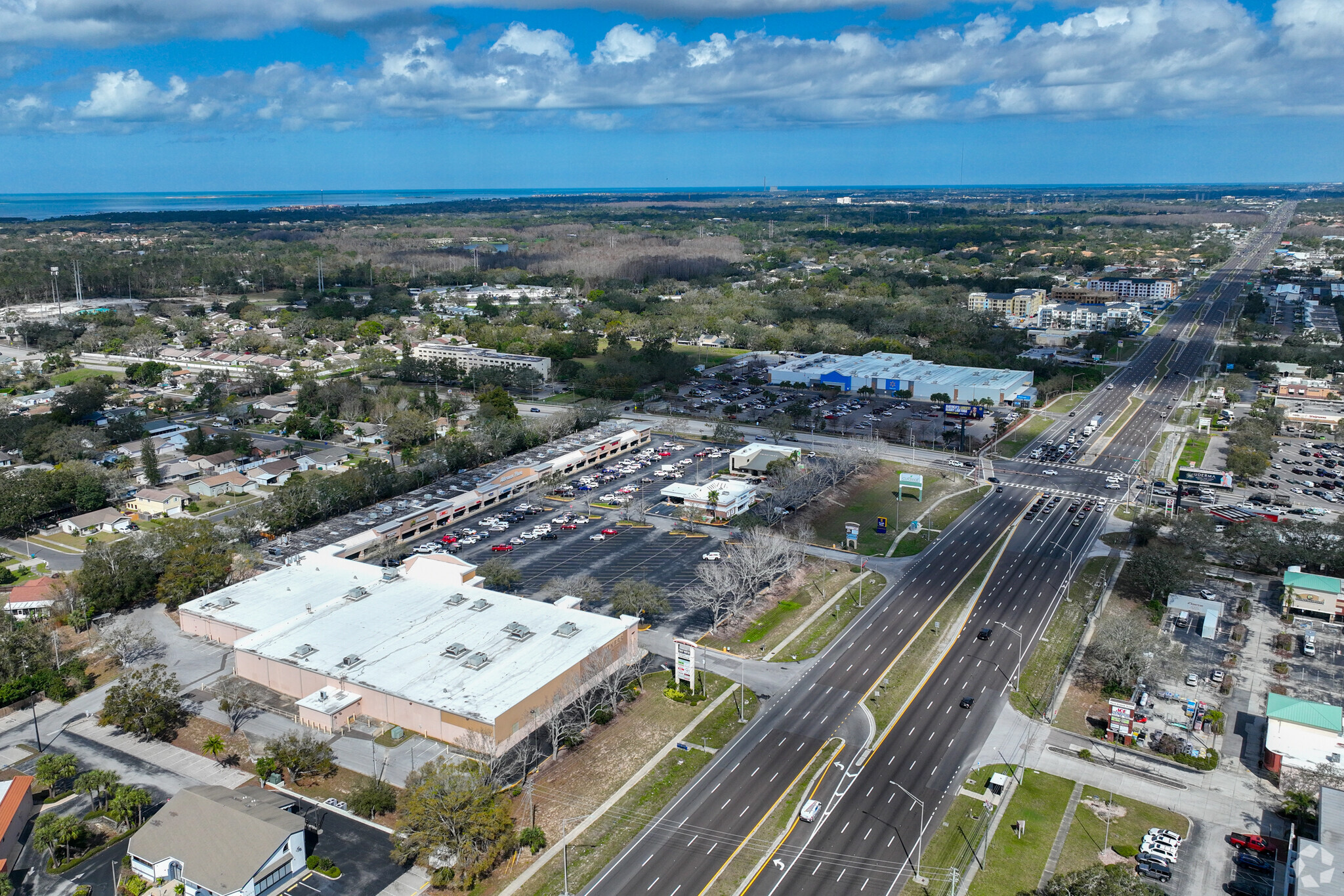 35168 US Highway 19 N, Palm Harbor, FL à louer Photo de l’immeuble– Image 1 sur 8