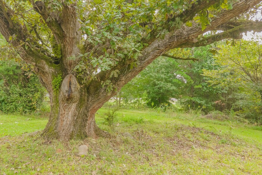 0 6th St, Auburn, GA à vendre - Photo de l’immeuble – Image 3 sur 24