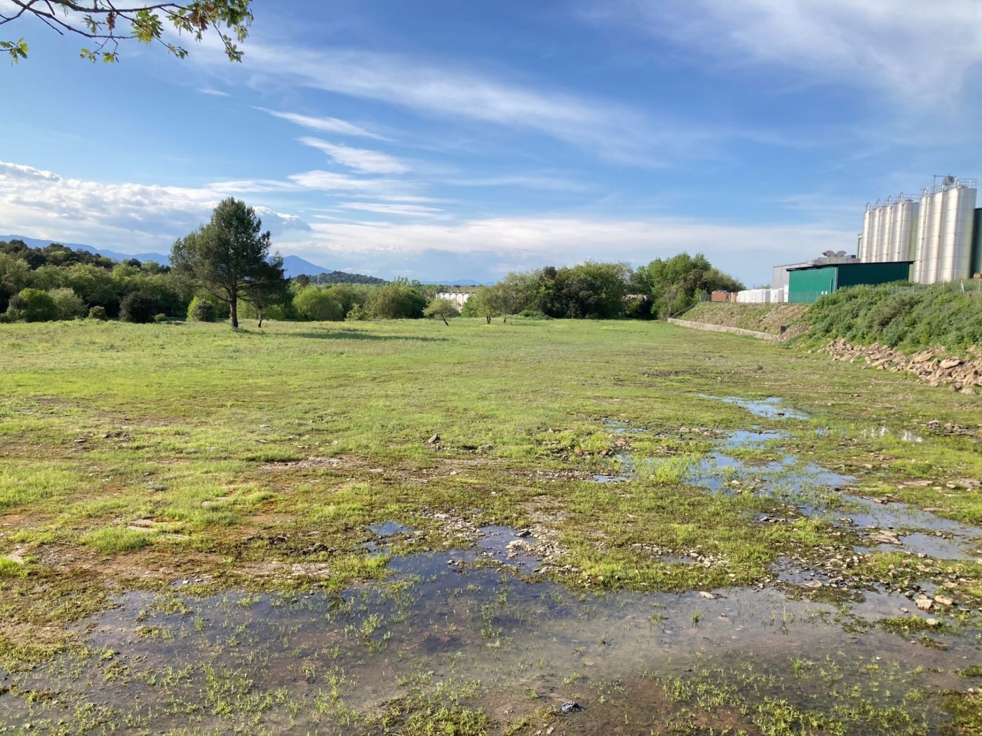 Terrain dans Maçanet de la Selva, Gerona à louer Autre– Image 1 sur 10