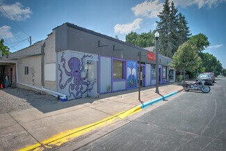 Plus de détails pour 220 S Ashland St, Cambridge, MN - Local commercial à vendre