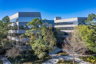 Plus de détails pour 2001 Timberloch Pl, The Woodlands, TX - Coworking à louer