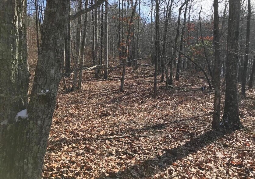 235 Chestnut Oak Dr, Dunlap, TN à vendre - Photo de l’immeuble – Image 2 sur 6