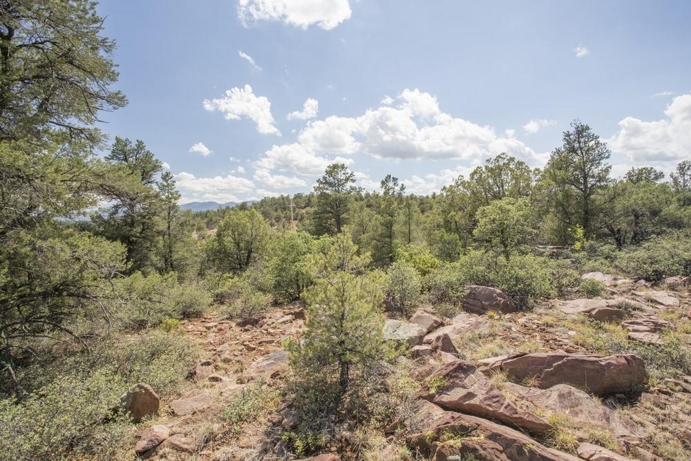 1200 Airport, Payson, AZ à vendre Photo principale– Image 1 sur 40