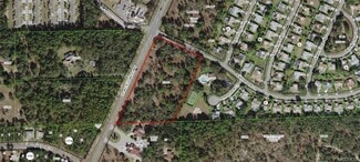 Plus de détails pour 6075 Lecanto, Beverly Hills, FL - Terrain à vendre