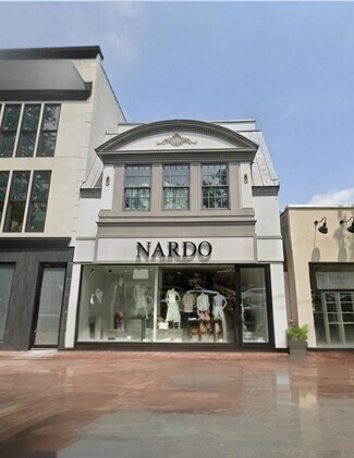 Plus de détails pour 63 Middle Neck Rd, Great Neck, NY - Local commercial à vendre