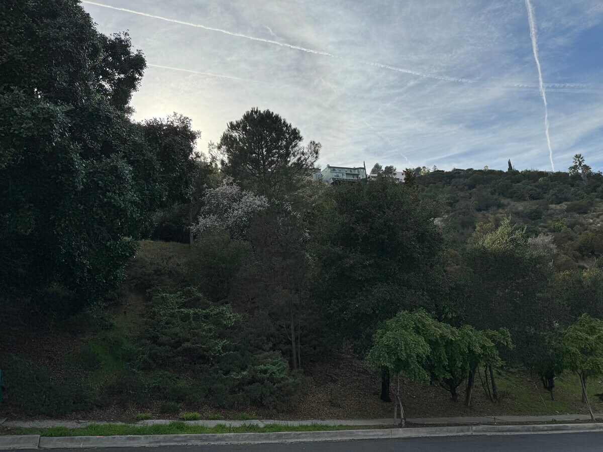 View Photo