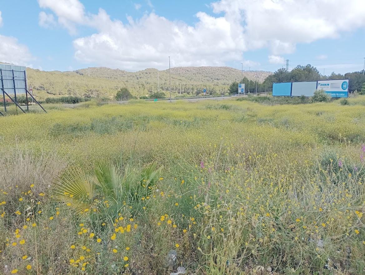 Terrain dans Calafell, Tarragona à vendre Plan cadastral– Image 1 sur 2
