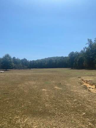 Plus de détails pour 27550 AL-25 Hwy, Wilsonville, AL - Terrain à vendre
