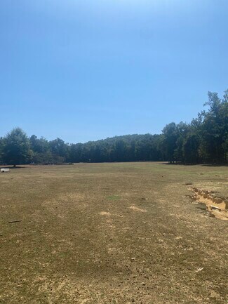 Plus de détails pour 27550 AL-25 Hwy, Wilsonville, AL - Terrain à vendre