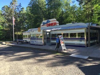 Plus de détails pour 14385 County Highway H, Delta, WI - Local commercial à vendre
