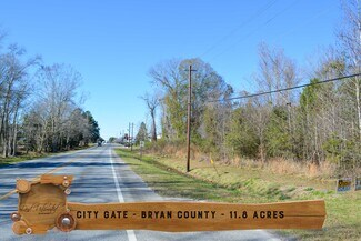 Plus de détails pour Hwy 280, Pembroke, GA - Terrain à vendre