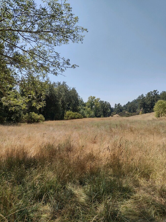 View Photo