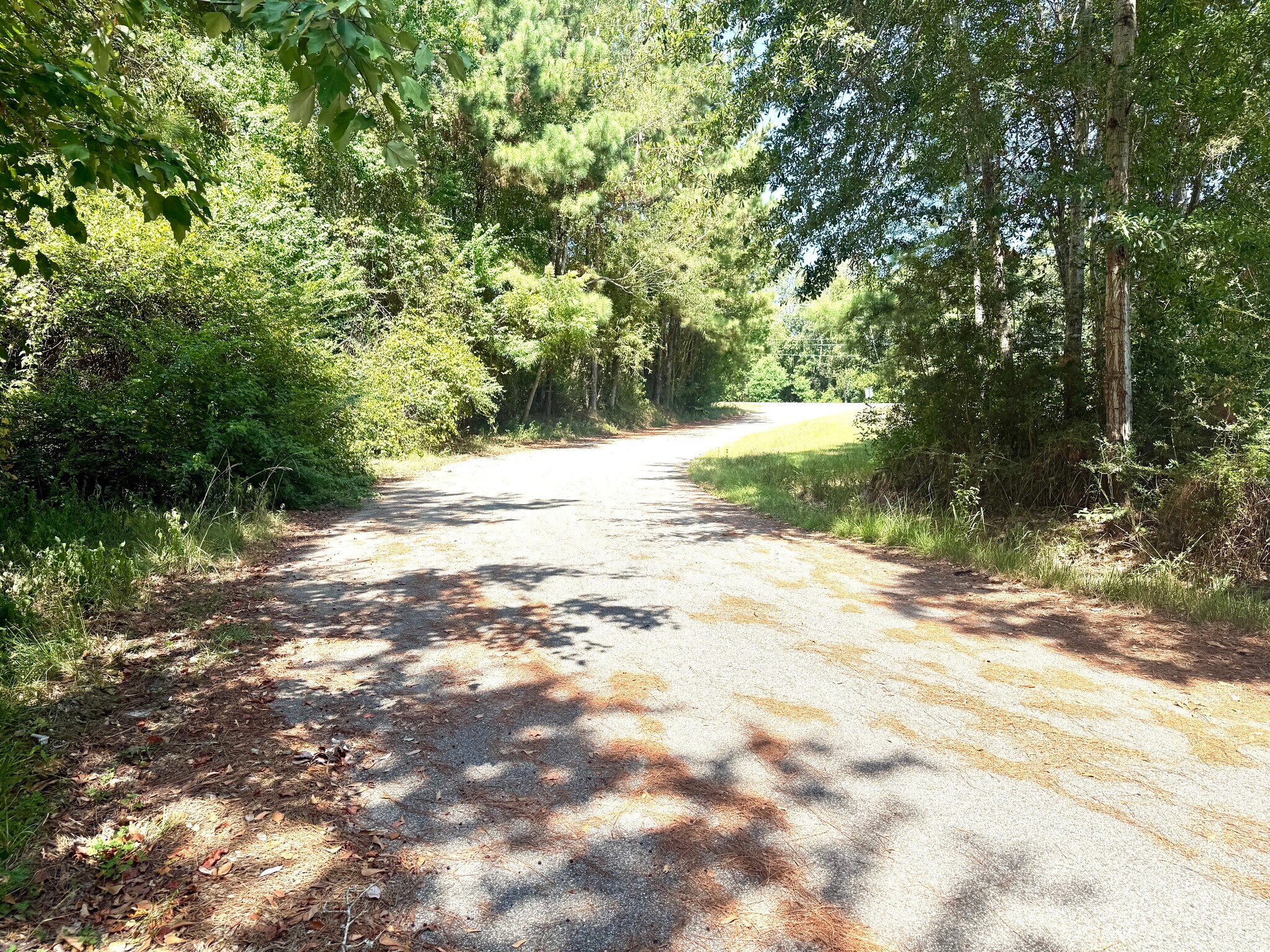 12760 Lorraine Rd, Biloxi, MS à louer Photo de l’immeuble– Image 1 sur 38