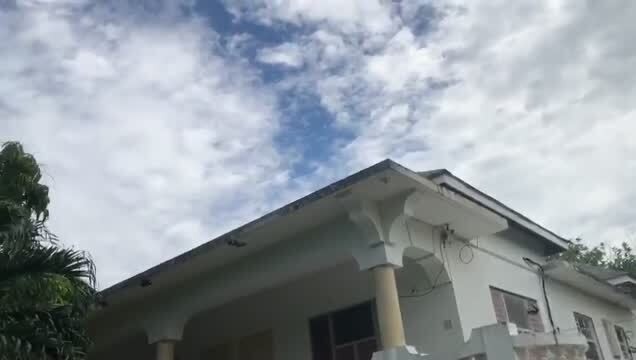 Services hôteliers dans West End Negril Jamaica, Negril à vendre - Vidéo sur l’annonce professionnelle – Image 3 sur 13