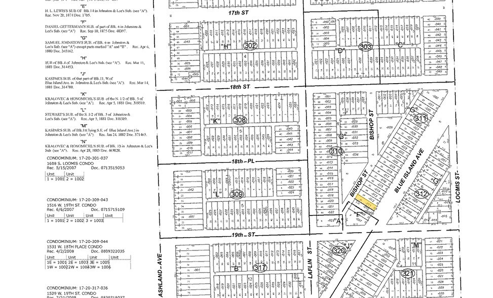 1860-1862 S Blue Island Ave, Chicago, IL à louer - Plan cadastral – Image 3 sur 5