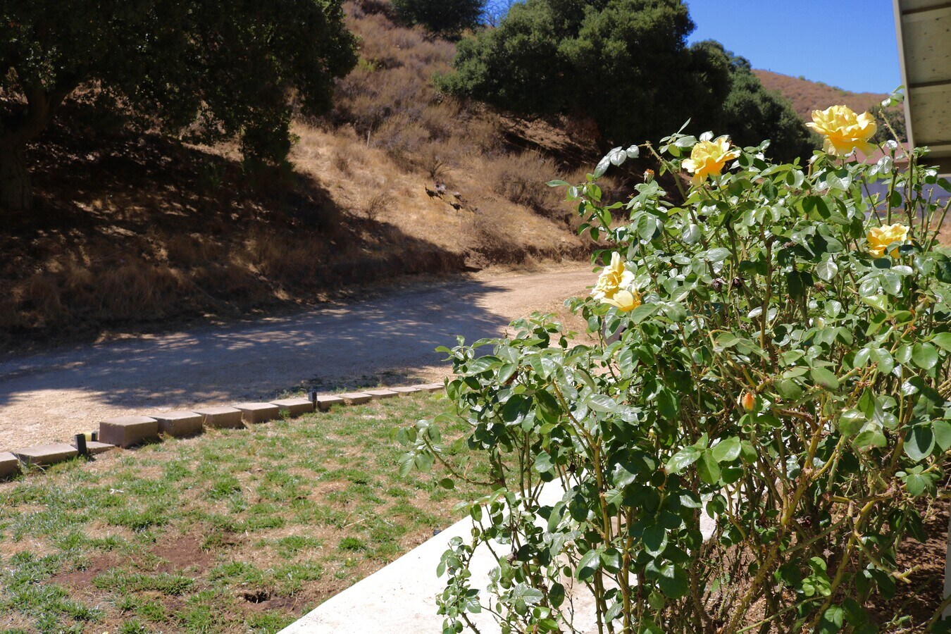 View Photo