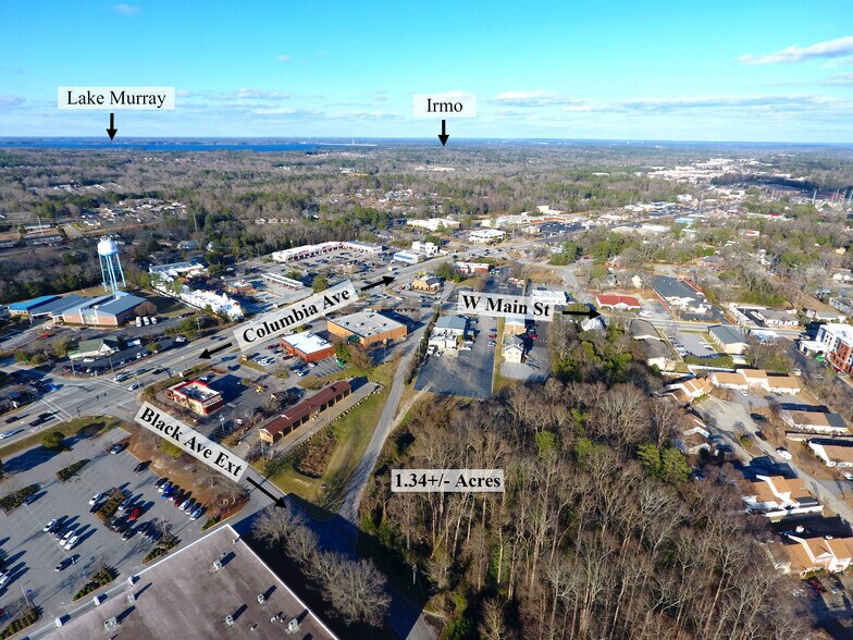 Black Ave Ext, Lexington, SC à vendre - Aérien – Image 3 sur 11