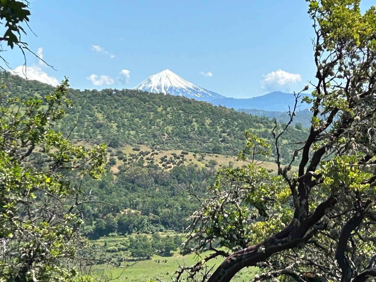View Photo