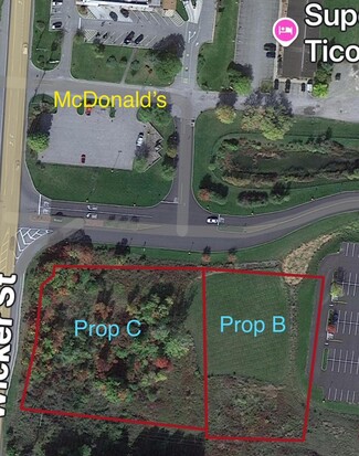 Plus de détails pour L6.111 NYS RTE 74, Ticonderoga, NY - Terrain à vendre