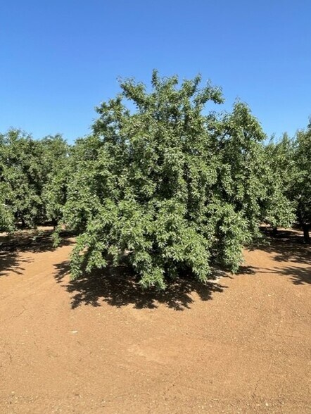 Draper Rd, Newman, CA à vendre - Photo de l’immeuble – Image 2 sur 27