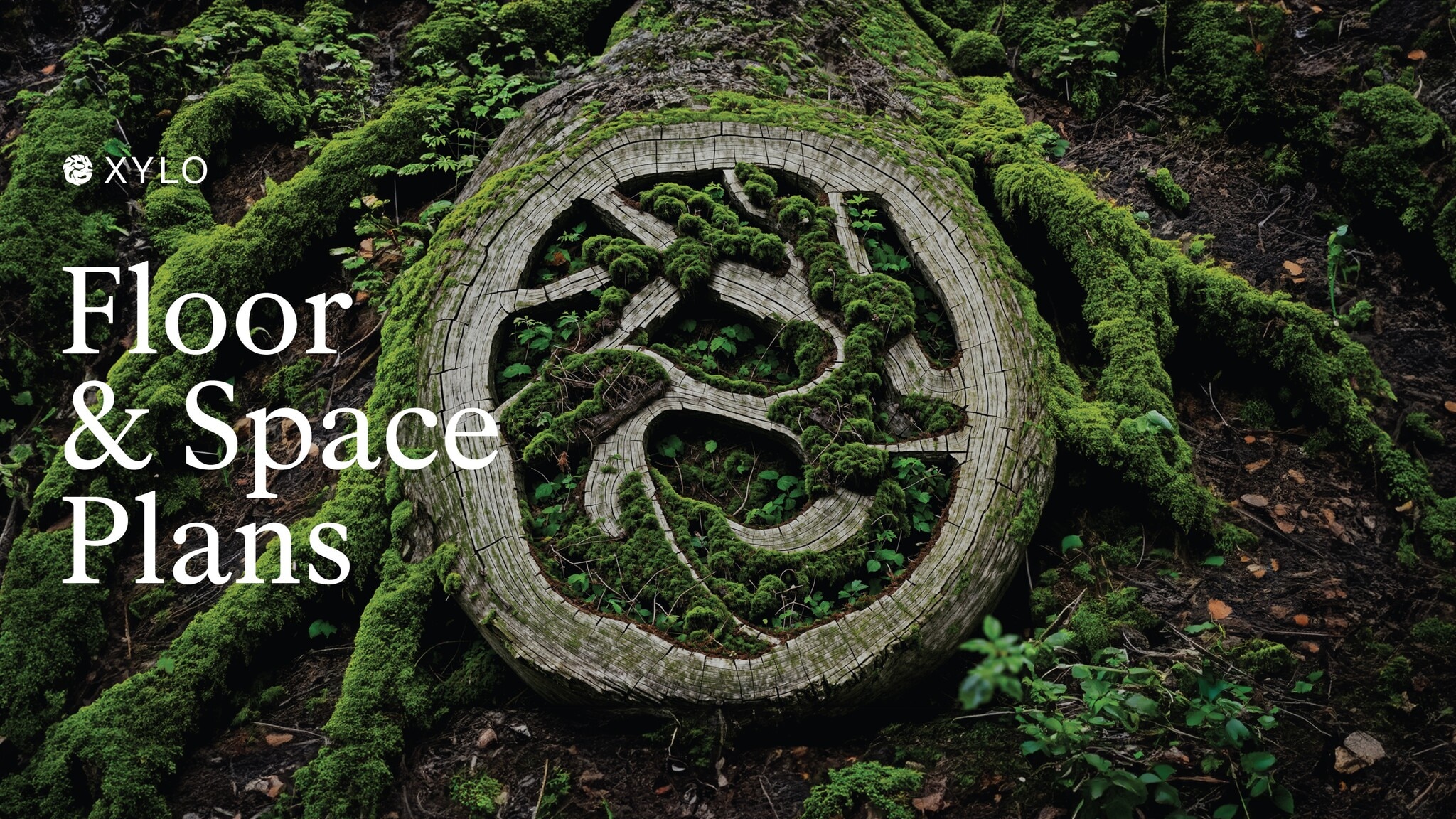 100-108 Gray's Inn Rd, Londres à louer Plan de site– Image 1 sur 1