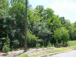 Plus de détails pour 3600 Swingle Rd, Houston, TX - Terrain à vendre