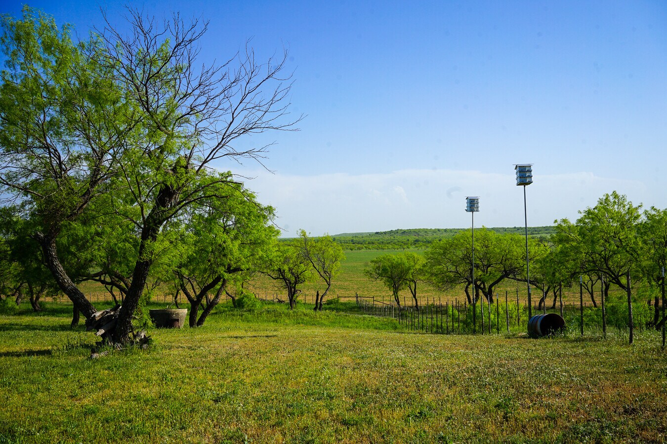 View Photo