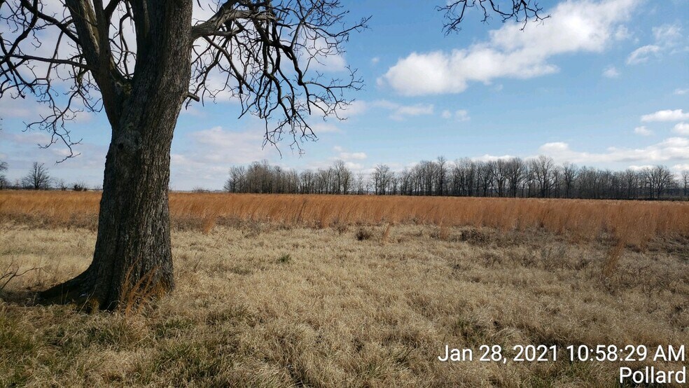 74 County Road 325, Pollard, AR à vendre - Photo de l’immeuble – Image 2 sur 9