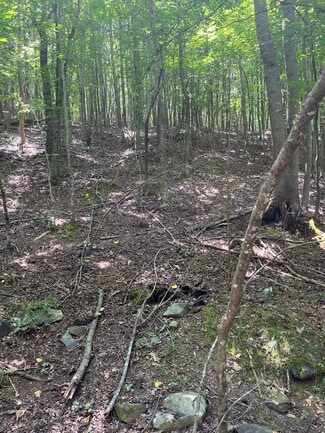 Plus de détails pour 000 Old Goldmine Rd, Marshville, NC - Terrain à vendre