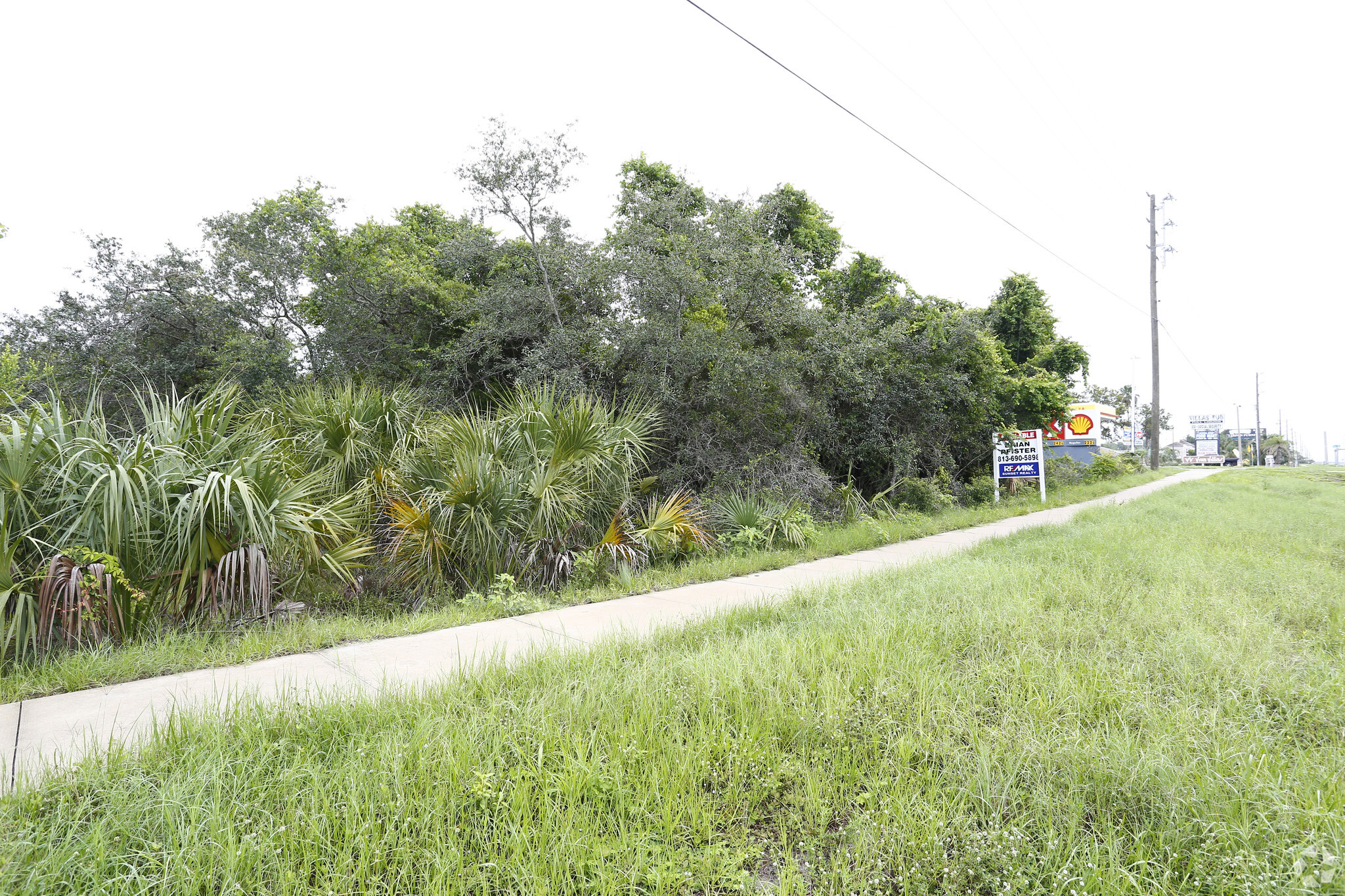 15807 US Highway 19, Hudson, FL à louer Photo principale– Image 1 sur 4