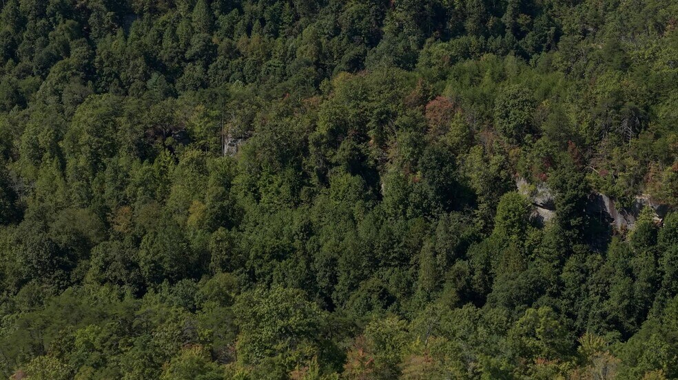 9999 State Hwy 1036, Beattyville, KY à vendre - Aérien – Image 3 sur 14