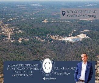 Plus de détails pour TBD Boy Scout Road Rd, Gaston, SC - Terrain à vendre
