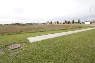 Plus de détails pour Rt. 53 & Mississippi Rd, Elwood, IL - Terrain à vendre
