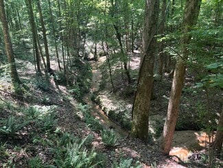 Plus de détails pour Old Calhoun Falls Rd, Abbeville, SC - Terrain à vendre