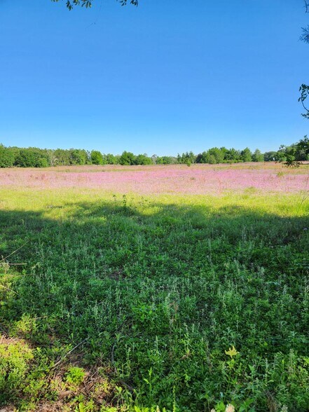 N/A County Road 222, Wildwood, FL à vendre - Photo de l’immeuble – Image 2 sur 2