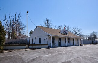 Plus de détails pour 6705 Easton Rd, Pipersville, PA - Local commercial à vendre