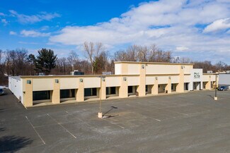 Plus de détails pour 20 Wolf Rd, Albany, NY - Local commercial à louer