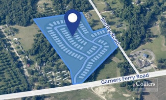 Plus de détails pour Motley Road, Hopkins, SC - Terrain à vendre