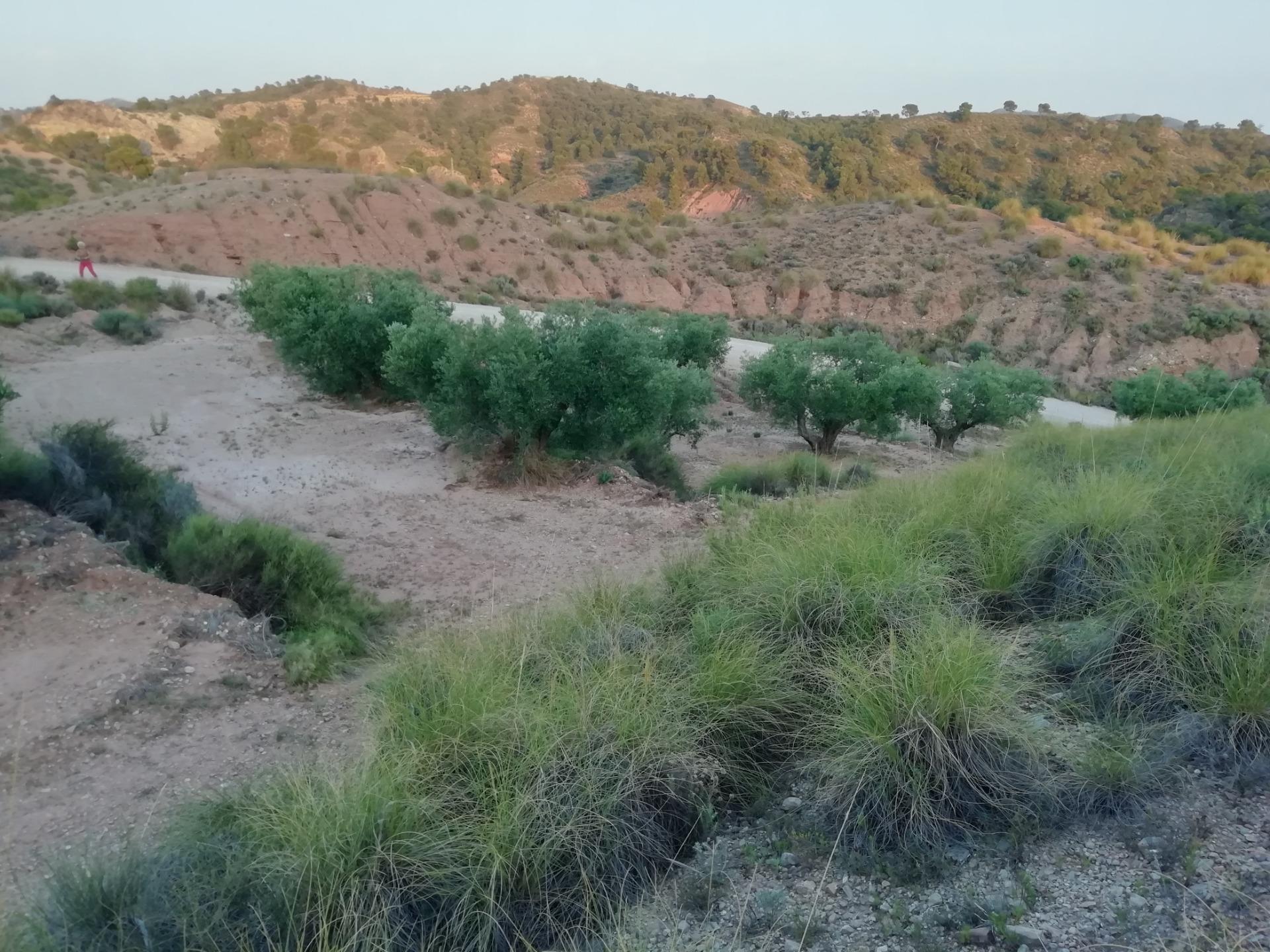 Terrain dans Abanilla, Murcia à vendre Aérien– Image 1 sur 6