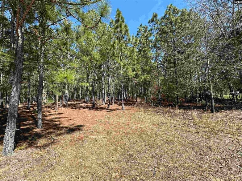 223 Mimosa Dr, Gaston, SC à vendre - Autre – Image 1 sur 2