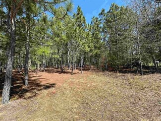 Plus de détails pour 223 Mimosa Dr, Gaston, SC - Terrain à vendre