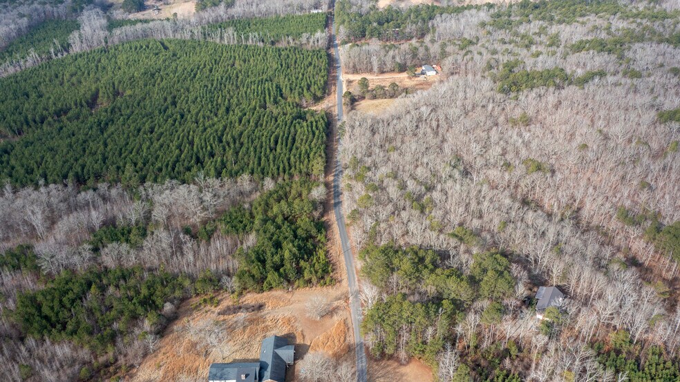 770 Williams Lane Rd, Shiloh, GA à vendre - Aérien – Image 3 sur 10
