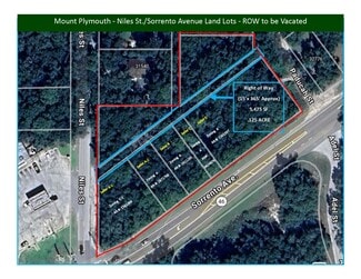 Plus de détails pour SR46-CR435 (Sorrento Ave & Niles St), Mount Plymouth, FL - Terrain à vendre