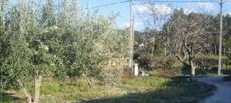 Plus de détails pour Camí del Llombo, S/N, Ontinyent - Terrain à vendre