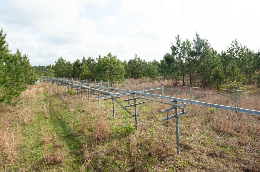 County Road 425 Near Ivy Durrence Road, Glennville, GA à vendre - Photo de l’immeuble – Image 2 sur 2